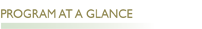Program at a Glance